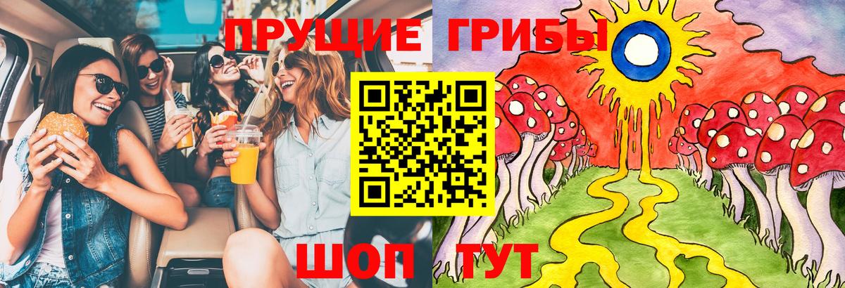 Галлюциногенные грибы Cubensis Вязники